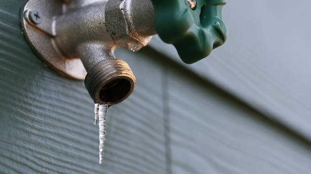 Best Local Plumber Services  in Coldstream, KY